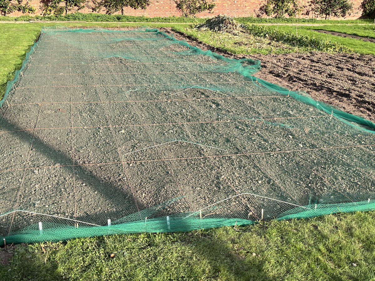 Simon Goodger (@goodgersimon) on Twitter photo Finished sowing weed screen today. Hopefully pre-ems will go on tomorrow. 9 different cereal/grass species x 12 herbicide treatments. Always generates good discussion with BASIS groups. Thanks to <a href="/Bayer4CropsUK/">Bayer Crop Science UK</a> for supply of seed & chem.
<a href="/agronomytrainer/">Chris Tolley</a> Finished sowing weed screen today. Hopefully pre-ems will go on tomorrow. 9 different cereal/grass species x 12 herbicide treatments. Always generates good discussion with BASIS groups. Thanks to <a href="/Bayer4CropsUK/">Bayer Crop Science UK</a> for supply of seed & chem.
<a href="/agronomytrainer/">Chris Tolley</a>