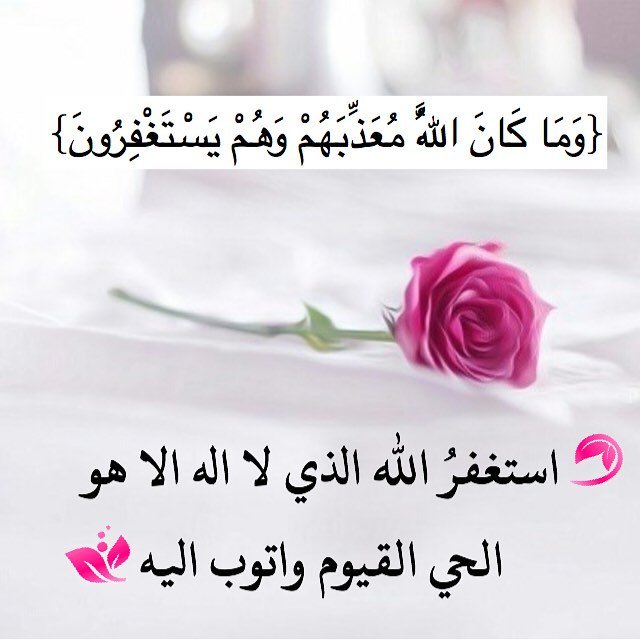 🌺 استغفرالله العظيم وأتوب اليه 🌹
🌺سبحان الله وبحمده سبحأن الله ألعظيم 🌹 استغفرالله العظيم وأتوب اليه 🌹 
🌺سبحان الله وبحمده سبحأن الله ألعظيم 🌹 استغفرالله العظيم وأتوب اليه 
🍂سبحان الله🍂
🍃والحمدلله🍃
🌾ولااله الا الله🌾
🌹 لاحول ولاقوة إلا بالله 🌹
