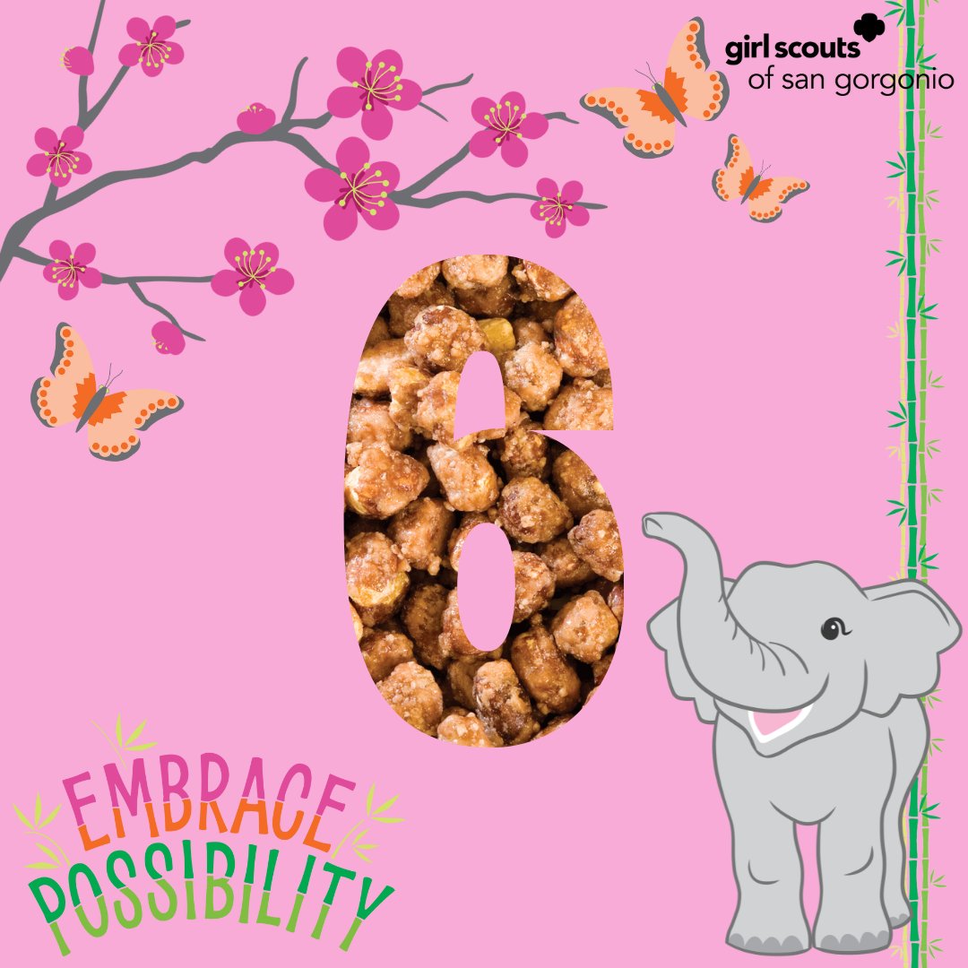 GirlScoutsSGC's tweet image. 📆🥜🍬 6 more days to order Fall Product online using Girl Delivery! 

#GSSGC #GirlScoutsofSanGorgonio #GirlScouts #inlandempire #fallproductsale #nutsandcandies #homedelivery #entreprenuers #girlboss