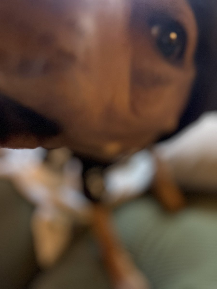 she hates the costume