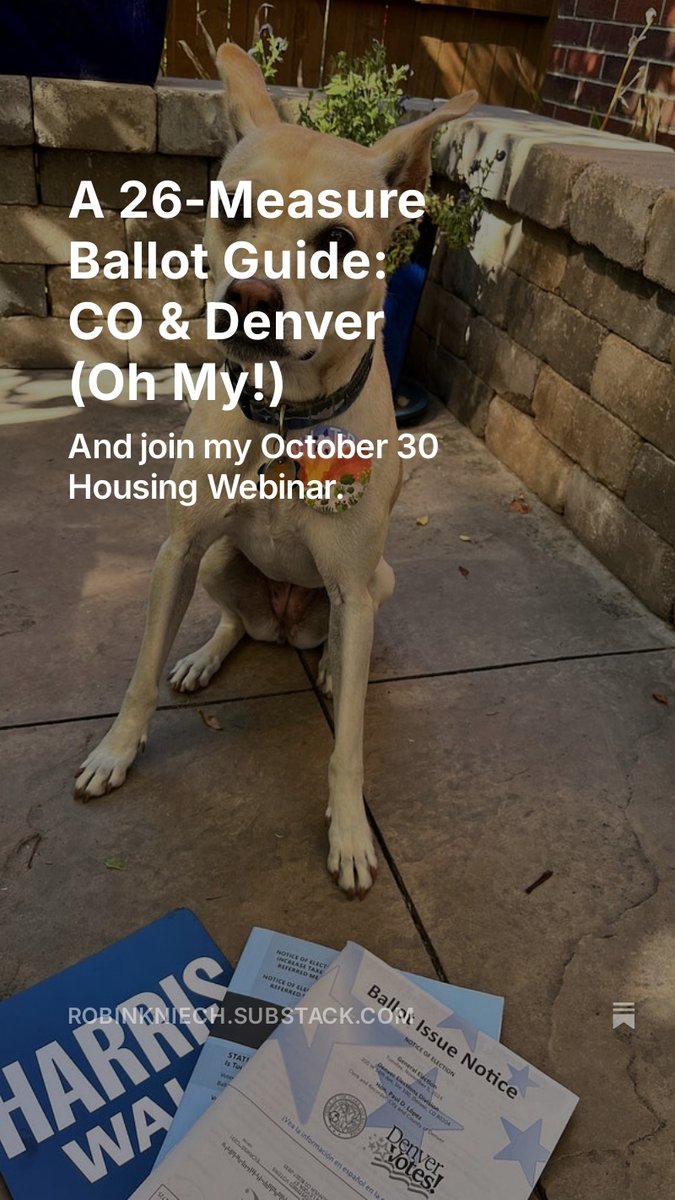 Robin Kniech tweet media