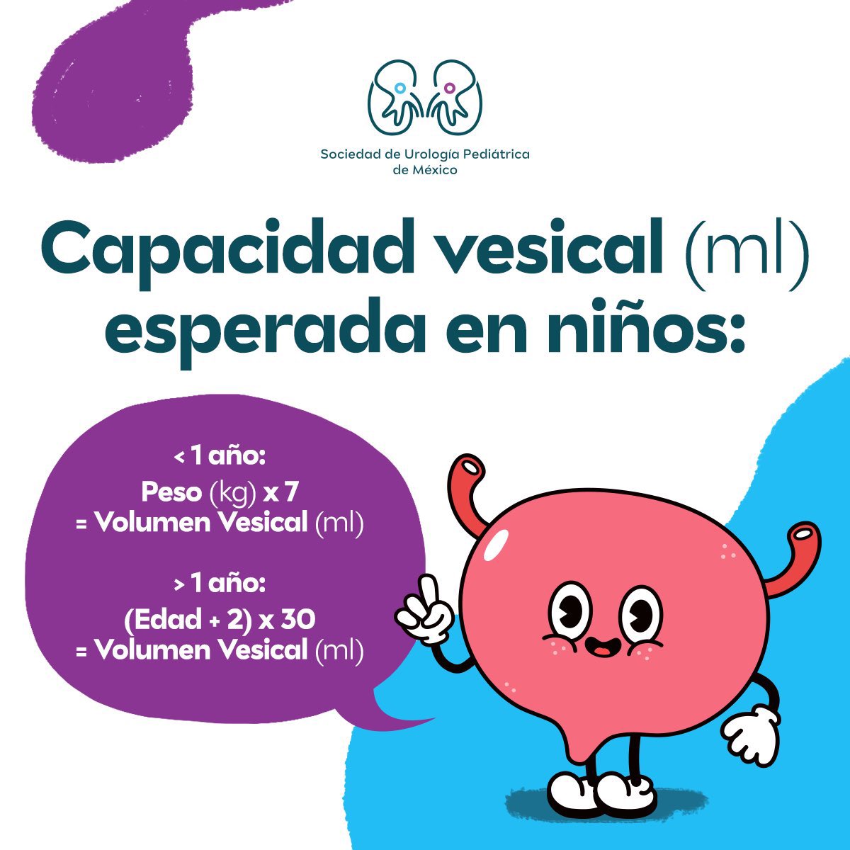 SocUroPedMx's tweet photo. Fórmula para calcular la Capacidad Vesical esperada en niños:

#SoMe4PedSurg #PedsUro #UroSoMe https://t.co/7Gtc4OUgf6