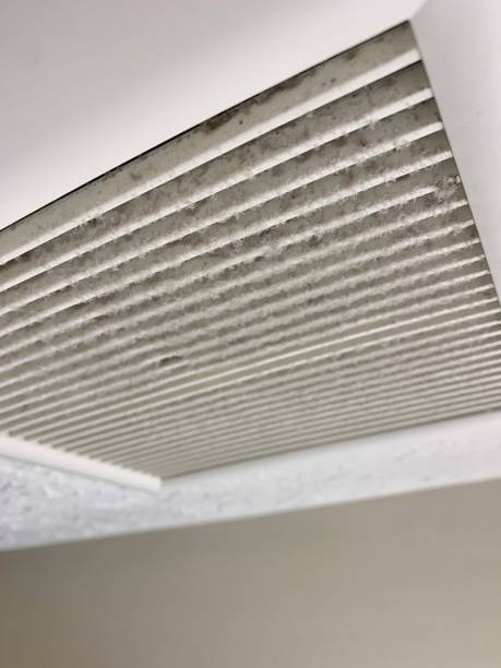 freds_plumbing's tweet image. Hey Little Falls, MN! Keep your home cozy and your air clean with our duct cleaning and sealing services at Fred's Plumbing and Home Furnace. Contact us at 320-632-9692 or visit freds-plumbing.com to schedule an appointment. #HVACContractor #DuctCleaning #LittleFallsMN