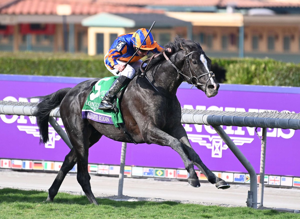 【非売品】クールモア・スタッド (海外競馬・種牡馬) 海外競馬】 🇮🇪クールモアスタッドの