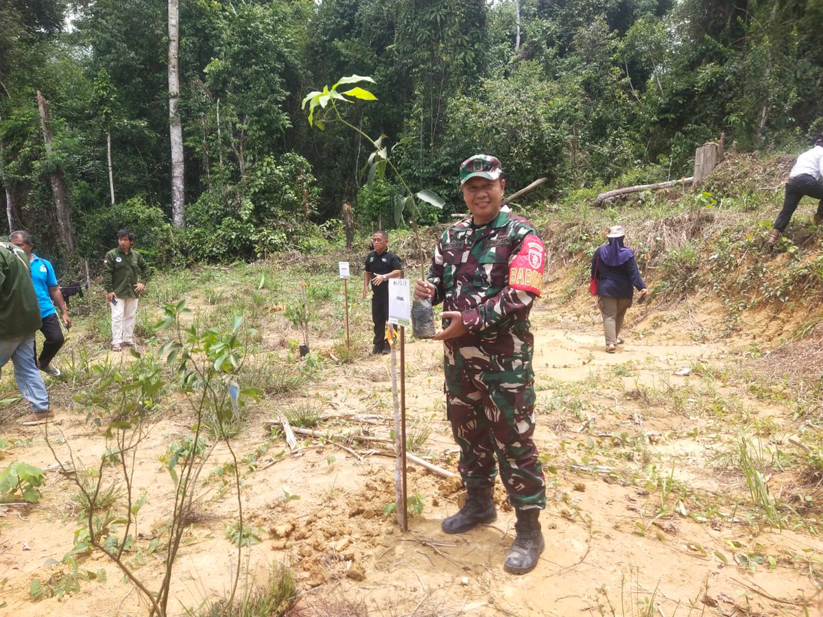 Trd0902's tweet photo. Pendim0902BERAU - Babinsa Koramil 09/Biatan Kodim 0902/Bru Sertu Darman, Hadiri Giat penanaman perdana rehabilitasi Daerah Aliran Sungai untuk Jaga lingkungan dan kelestarian SDA, Tempat di hutan lindung Kp. Biatan Ilir dan Biatan Ulu Kec. Biatan Kab. Berau. Mingguu (13/10/2024). https://t.co/OlNjWHnegU