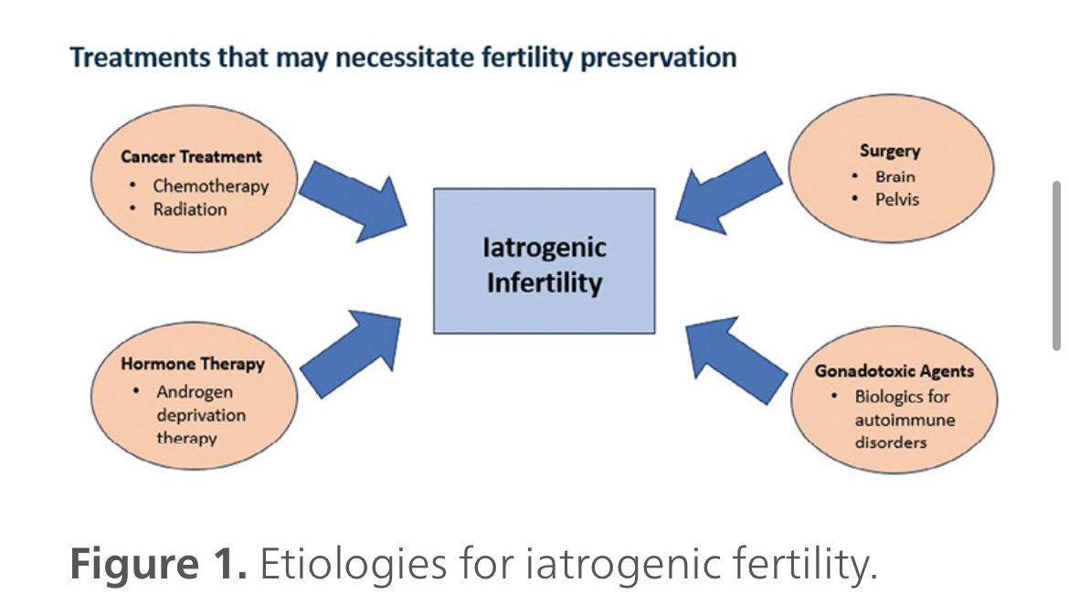 AkhilMuthigi's tweet photo. Check out our latest work on patient barriers to fertility preservation for iatrogenic infertility and strategies for increased access:
➡️ patient education and advocacy work!
https://t.co/61wWCe98cT 

@KKseattle @akankshamehtamd @HMethodistUro 
@ASRM_org @SSMR_malefactor https://t.co/QXGkLbFw6g