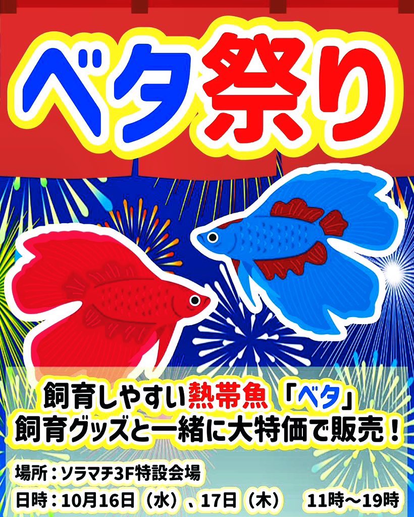 aquaforest_'s tweet photo. 【ソラマチ】

大好評だったベタの即売会をソラマチ3階特設会場で10/16(水)17(木)にて開催致します！！！📣📣
11時から19時まで開催中です！！！🥳 

ぜひお待ちしております！！ https://t.co/ObLVgkNm3v