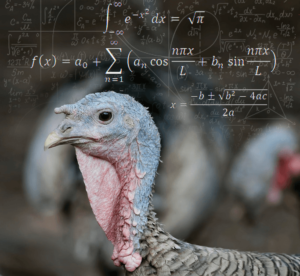 HadlTaylor's tweet photo. Have you seen the facilities of turkey farms?🦃🦃

Turkey farmers rely on smart technology to help them farm turkeys 🦃. 

This smart technology helps control temperatures🌡️ of facilities, feed distribution, water supply and more!

#CAO24 #Agriculture https://t.co/NGPfd3O4rQ