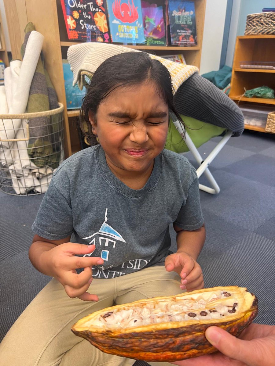 MontessoriHTX's tweet image. Our #LowerElementary students have been exploring North American Indigenous cultures! 🎨 They crafted coil pots inspired by Mayan pottery, tasted cacao beans, &amp;amp; made Mayan hot chocolate. They also learned dot painting through stories like Turtle Island, connecting art to history.