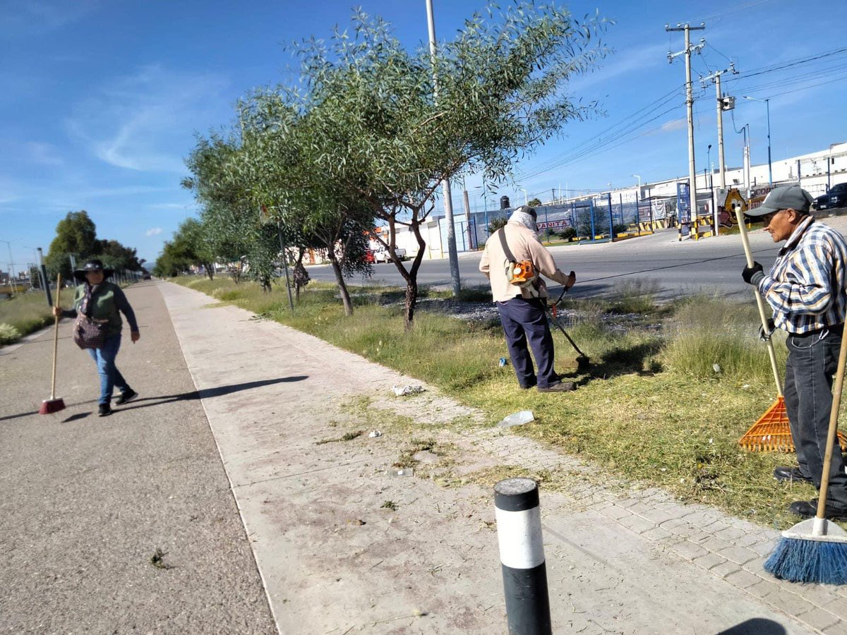 El departamento de parques y jardines trabaja incansablemente rehabilitando áreas verdes.
¡Juntos, hagamos de nuestro Fresnillo un lugar mejor!

#FresnilloBienHecho 🌅