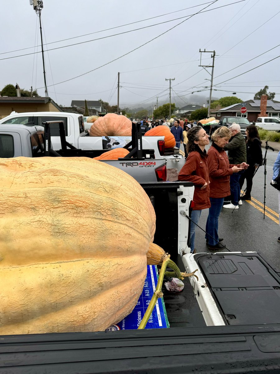 Half Moon Bay Art & Pumpkin Festival tweet media