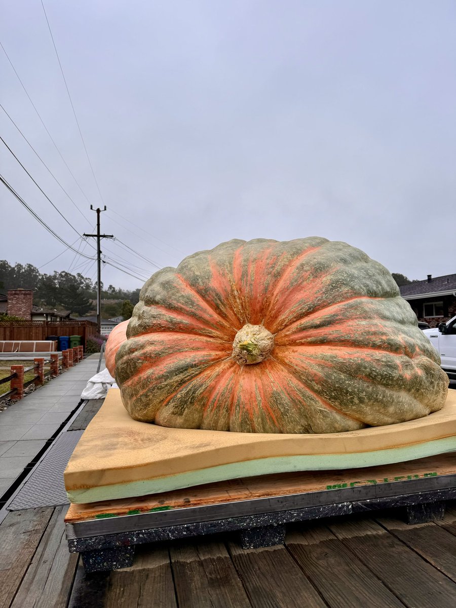 Half Moon Bay Art & Pumpkin Festival tweet media