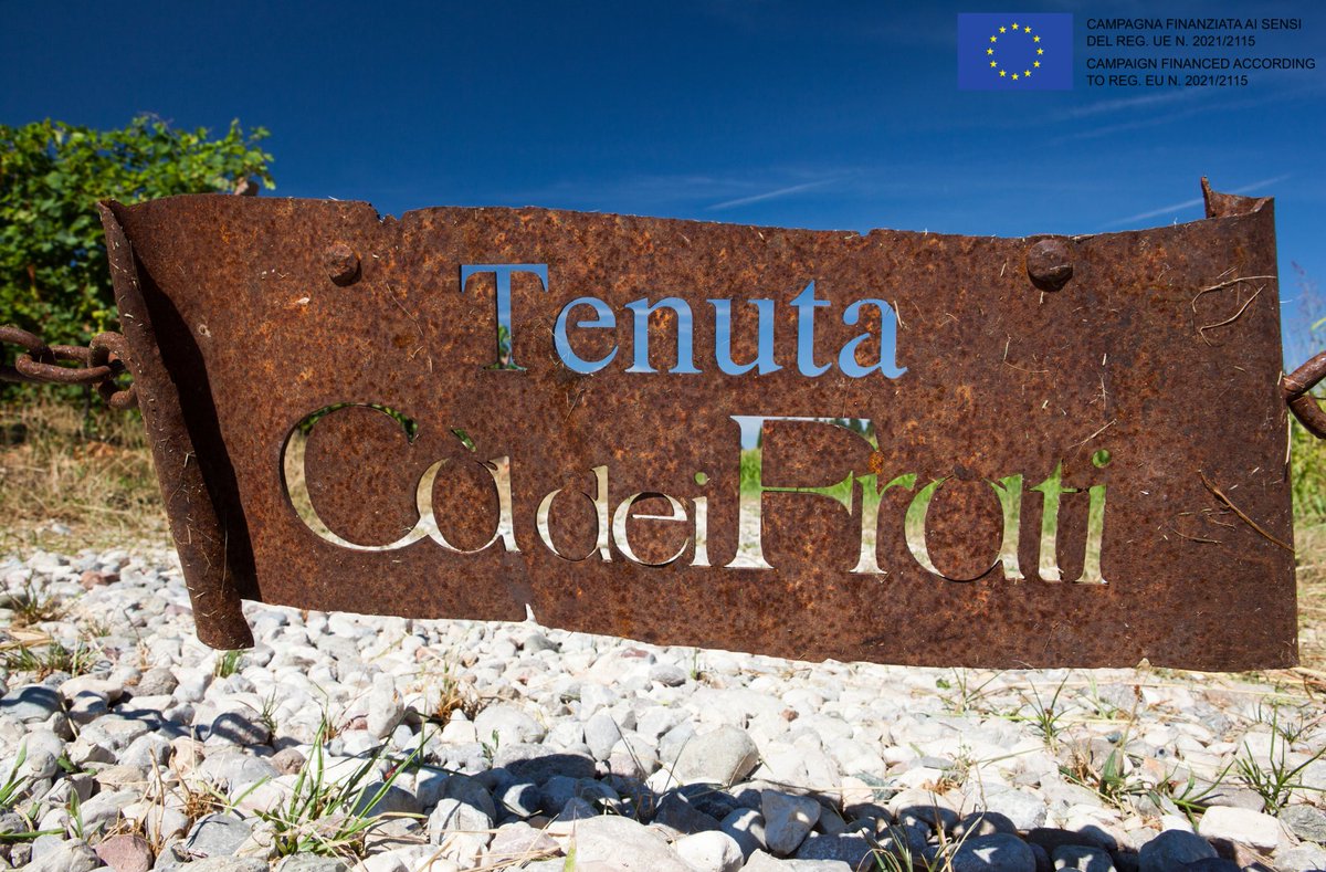 Ca’ dei Frati was founded in 1939 when patriarch Felice Dal Cero settled on the Lombardy region side of the Lugana appellation. It’s called Ca’ dei Frati or “friar house,” because it was once owned by monks who grew grapes there. Did you know?  #Lombardy #Cadeifrati #austin