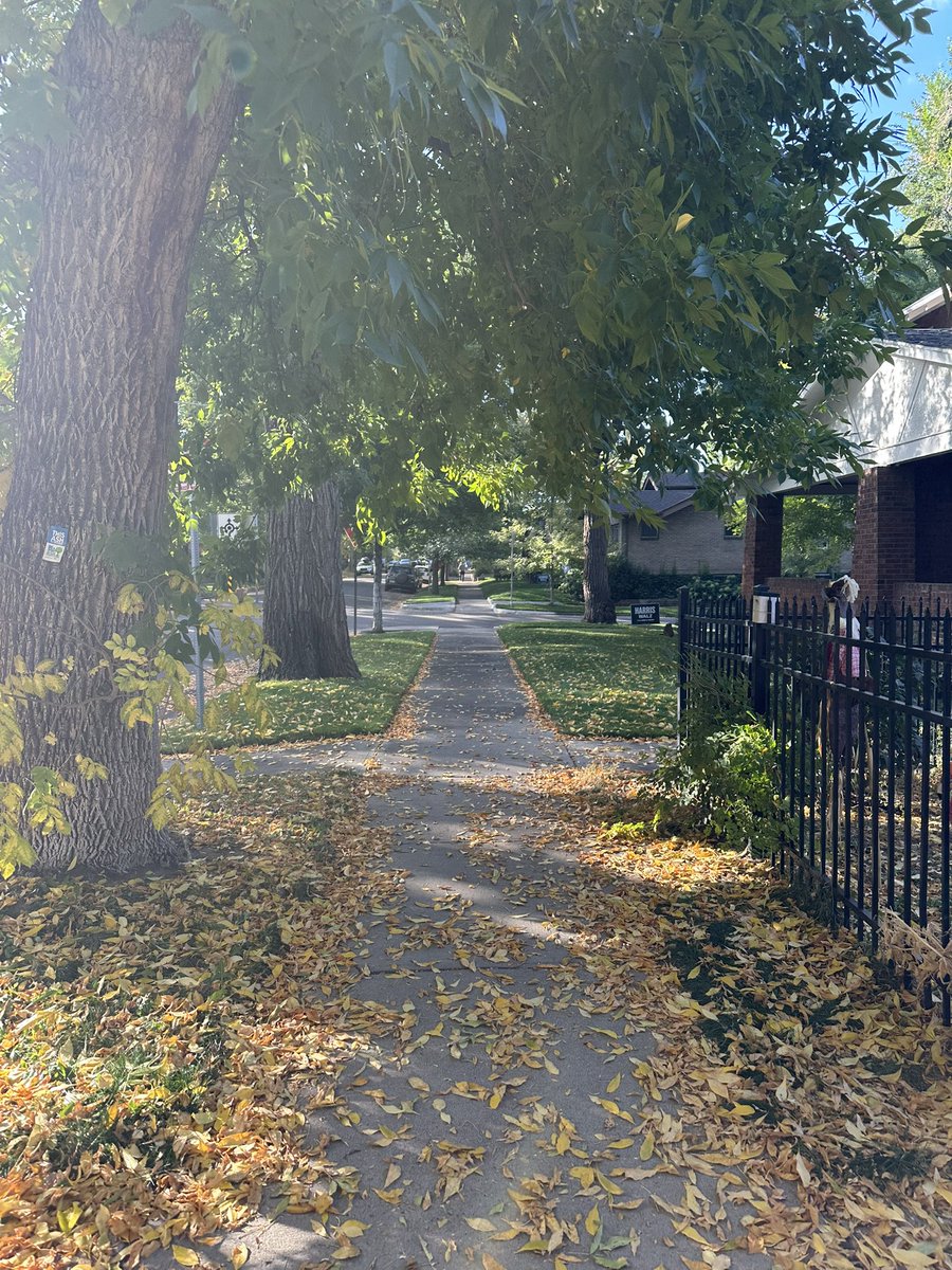 Tridariuso's tweet photo. morning walk going off https://t.co/RPIEor0QYU