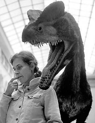 Pteroterror's tweet photo. The specimen is held at the Warsaw Geological Museum and was made by Marta Szubert https://t.co/bc2qbWX43D