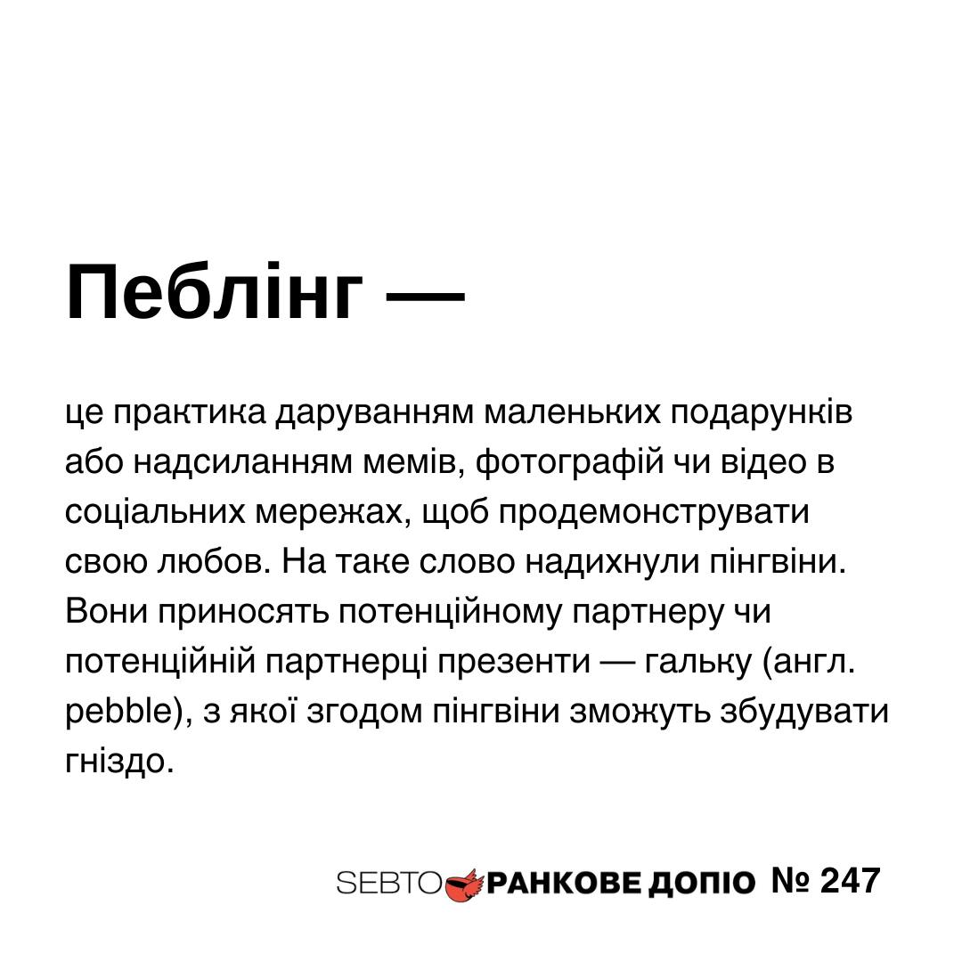 sebto_media's tweet photo. надто мило https://t.co/dts2hEX50F