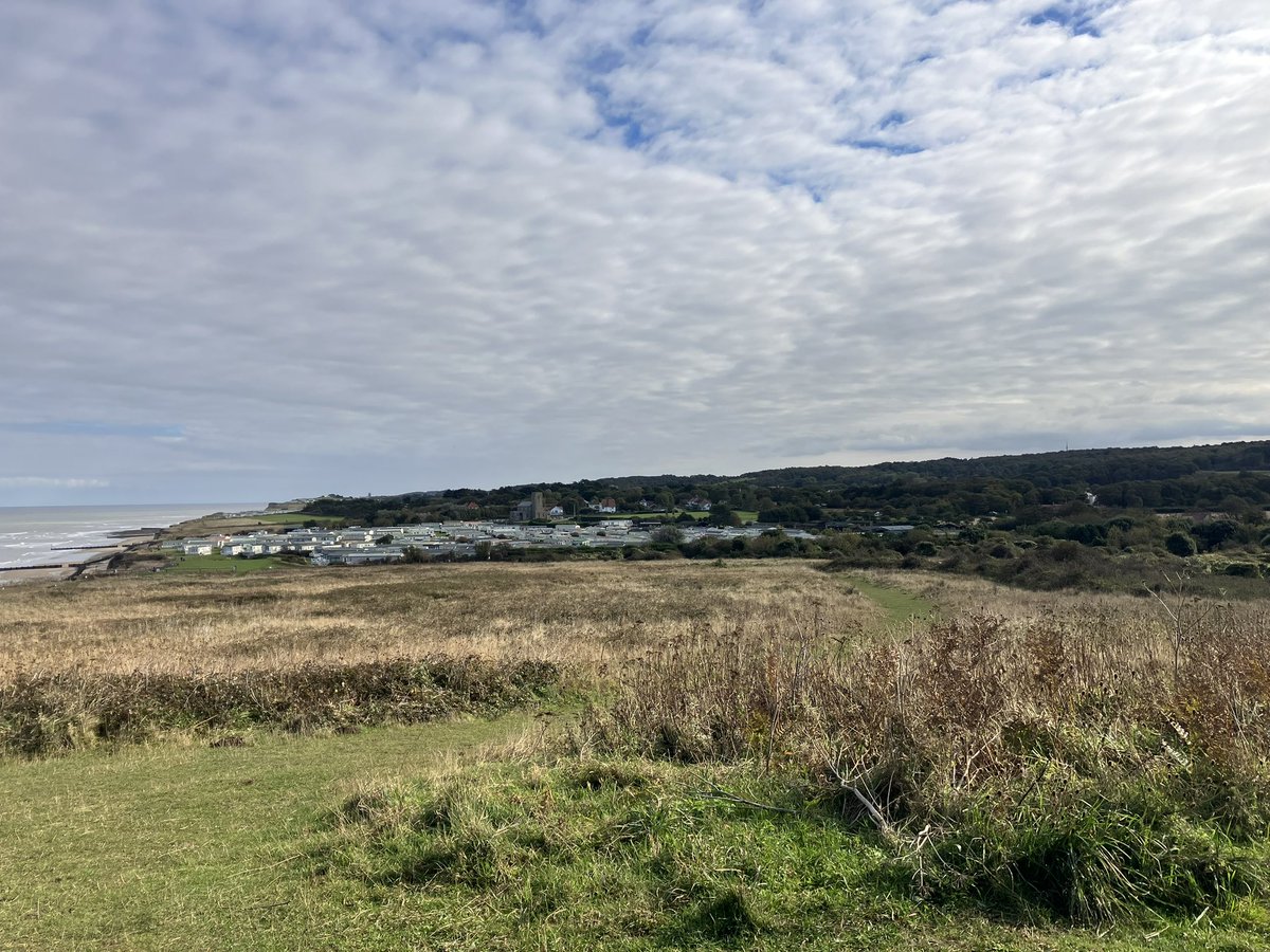A few common migrants and a bit of vismig between West Runton and Sheringham today. Highlight was undoubtedly 6 Bearded Tits high east with purpose.