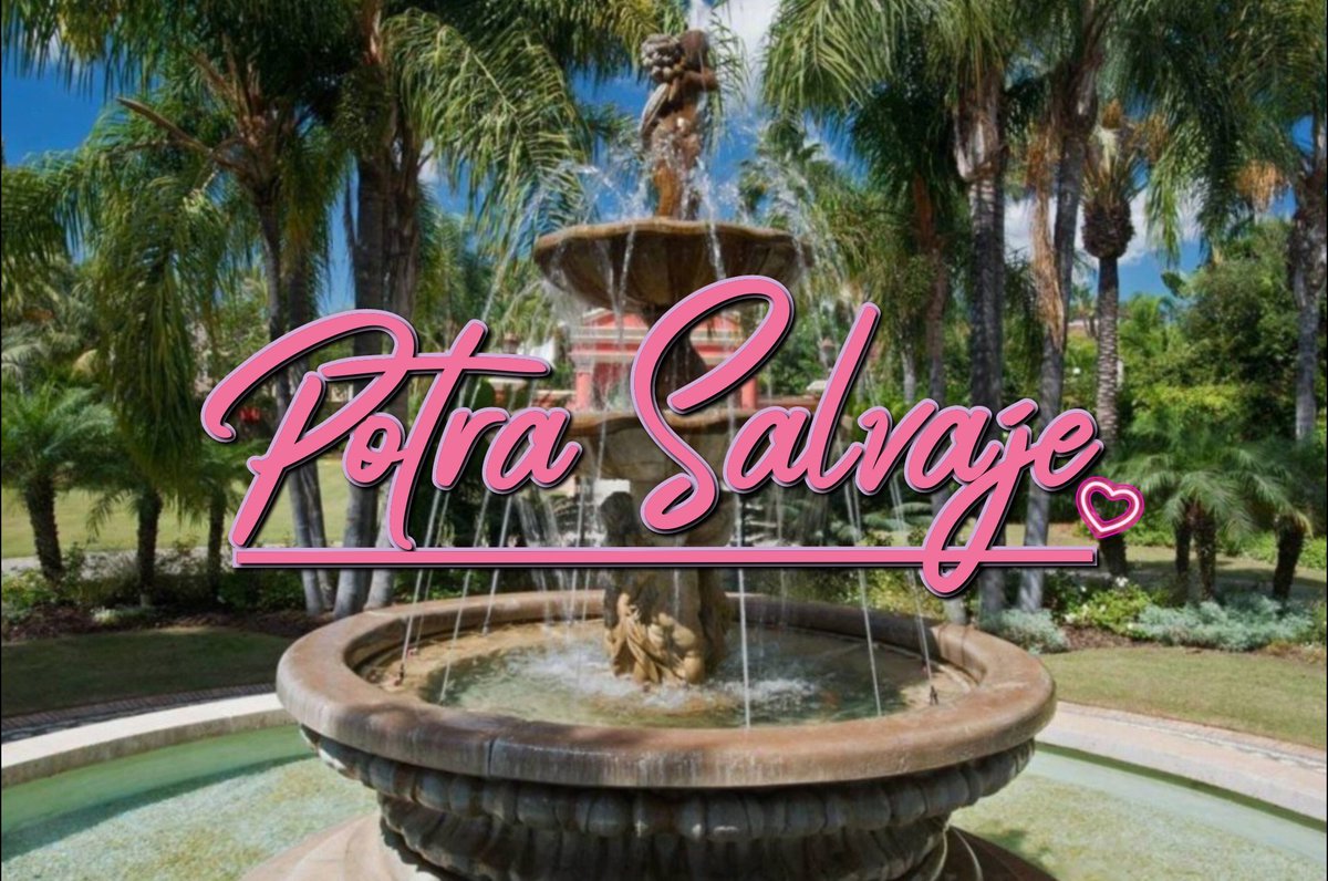 FONO VISIÓN ESTUDIOS 🇺🇸 tweet media