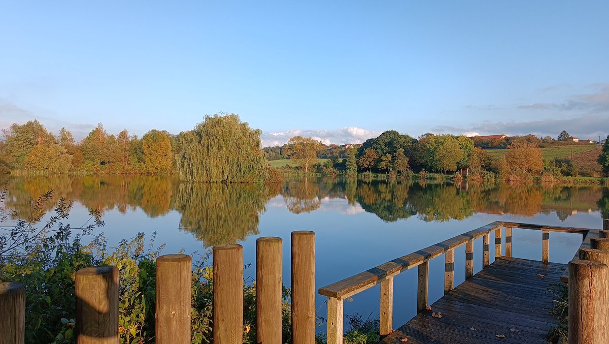 Dernière soirée avant le CROSS du <a href="/clgBouligny/">Collège de Bouligny</a> qui aura lieu demain dès 8h55 aux étangs 💪🔥 ! Nous vous attendons nombreux pour donner de la voix et encourager nos élèves et personnels ! 📣🏃‍♀️🏃🦊 Qui terminera sur le podium ? ⚡🤔🏁 <a href="/geoloiodice/">Geoffrey Loiodice</a> <a href="/unss_54/">UNSS 54</a> <a href="/unssncymtz/">UNSS_Nancy-Metz</a> <a href="/DSDEN55/">DSDEN55</a>