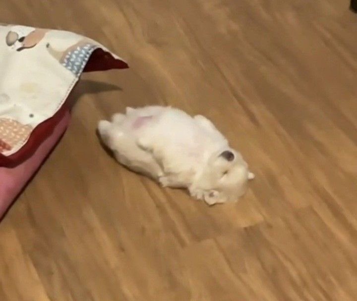 #이거남우현