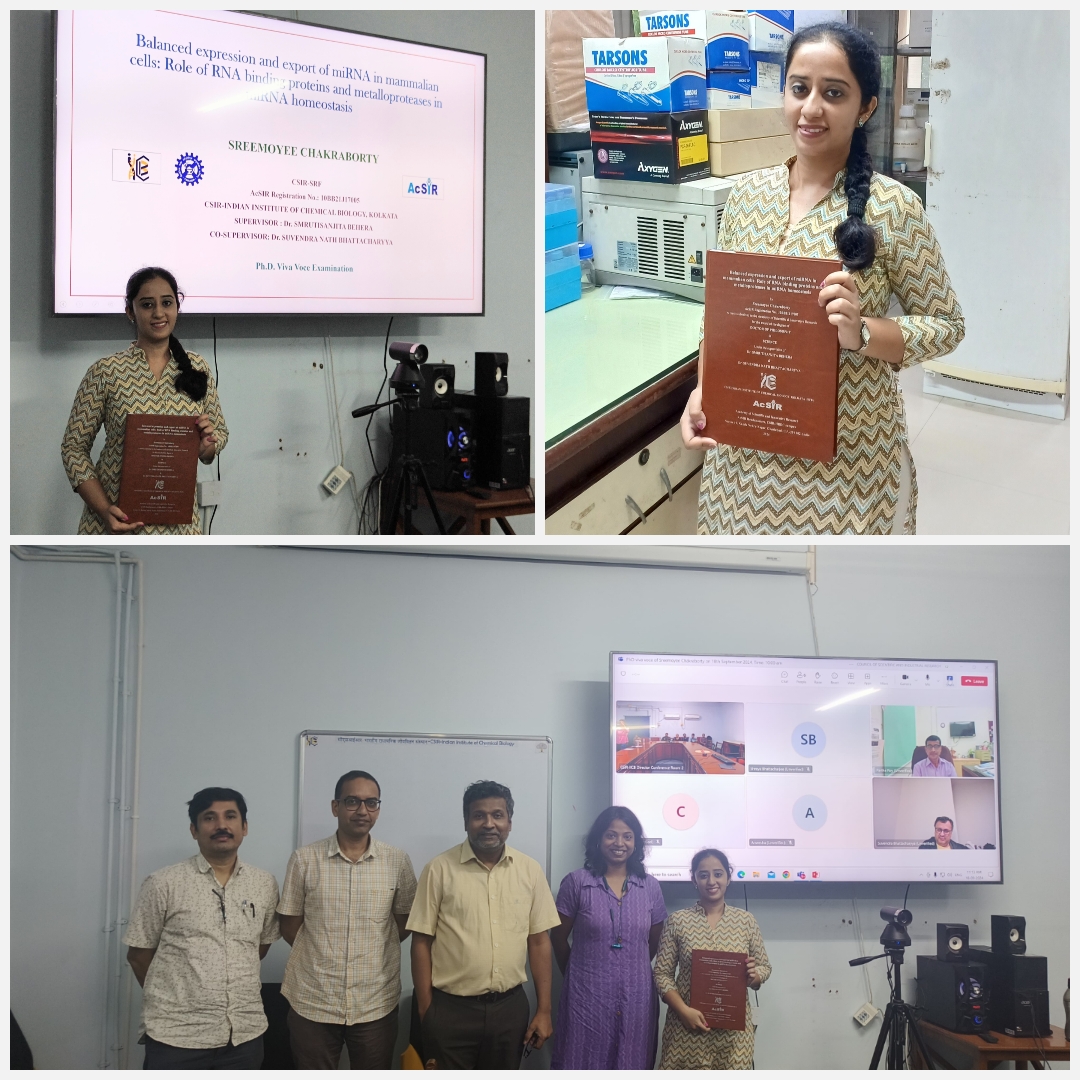I am happy to share that I have obtained the doctoral degree. I convey my gratitude to my supervisors,
<a href="/Suvendra_B/">Suvendra Bhattacharyya</a> and Dr. Smrutisanjita Behera, for their constant guidance and encouragement. My thankfulness to <a href="/RBRL_IICB/">RBRL</a>, friends, and family members.
<a href="/AcSIR_India/">AcSIR</a> <a href="/csir_iicb/">CSIR-IICB</a>