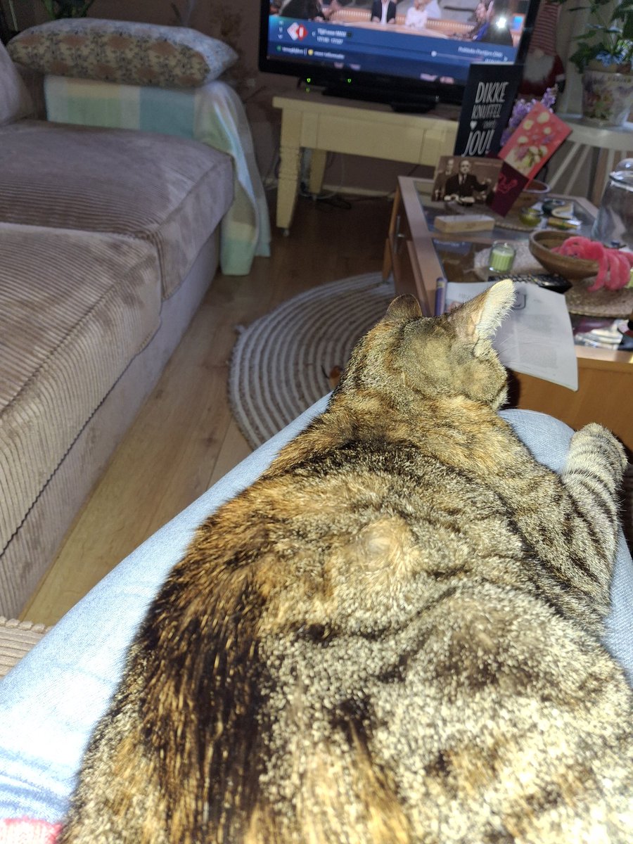 SybSyb77705976's tweet photo. Mens is thuis💖#schoot https://t.co/F02LQlMvP6