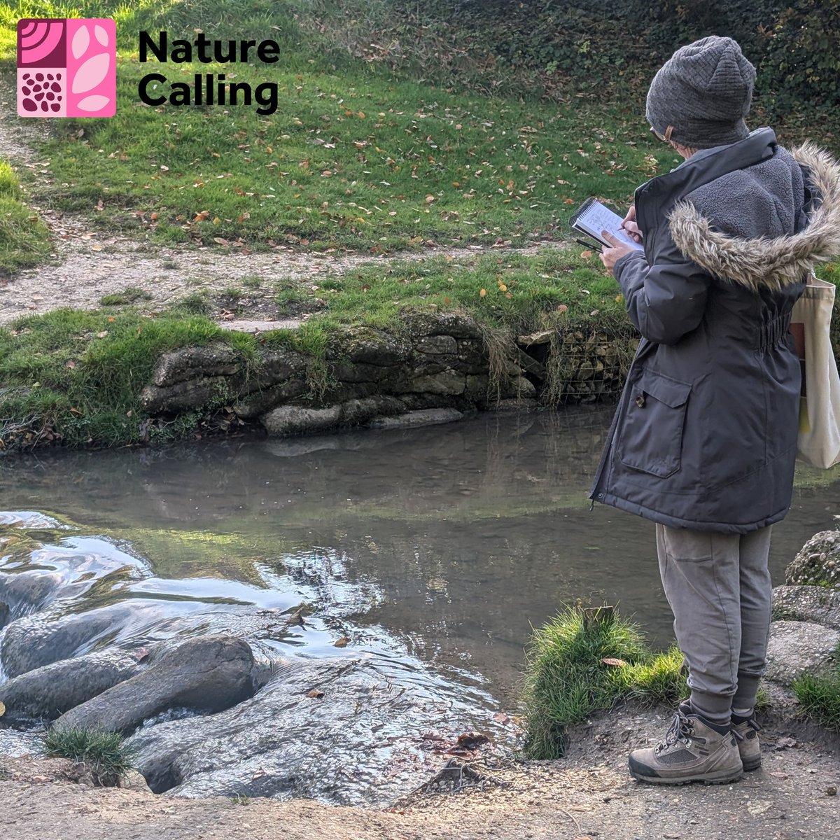 SO Festival tweet media