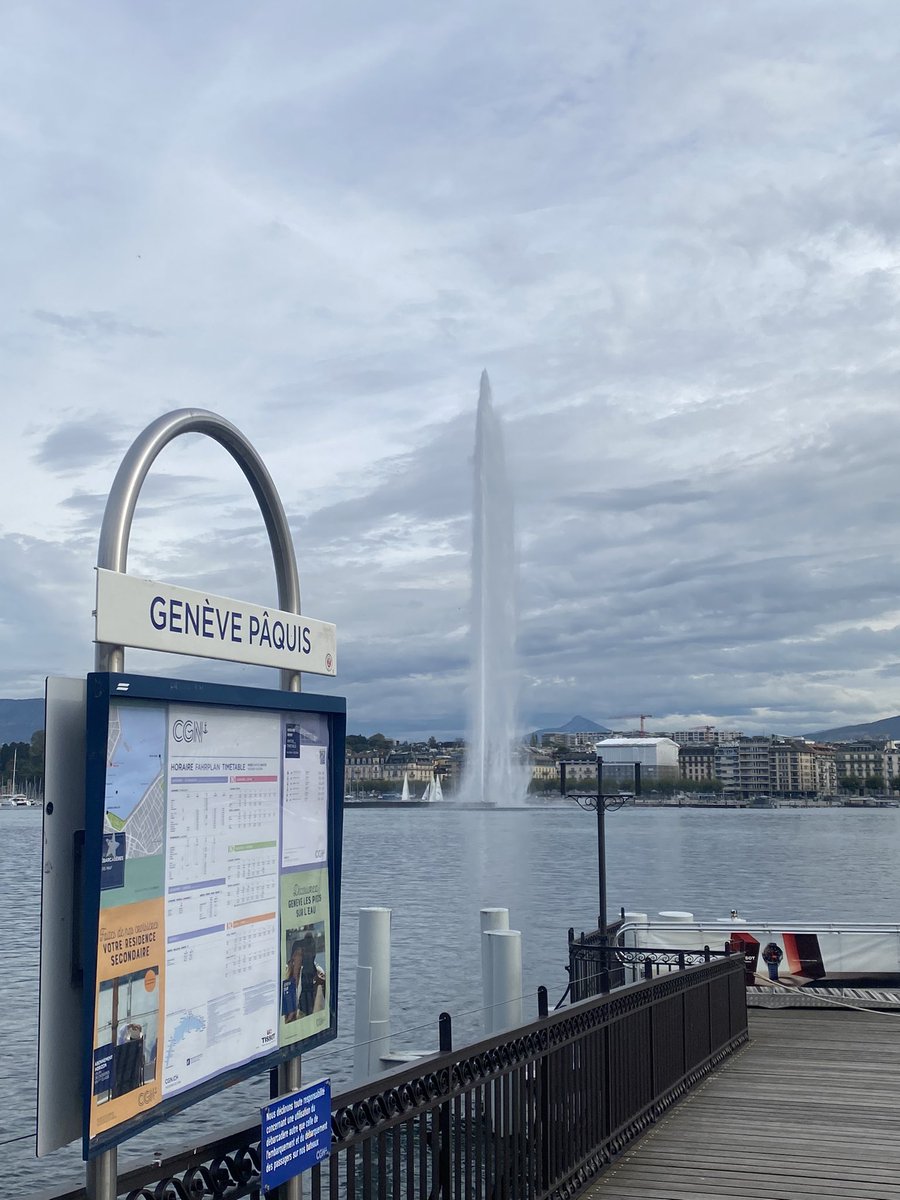 Anastasia Prokhorova tweet media