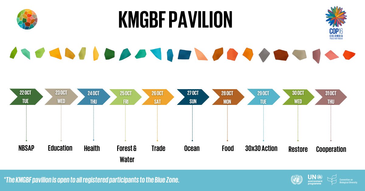 The #KMGBFPavilion at #COP16Colombia will host essential discussions on implementing the #KMGBF. Co-curated by <a href="/UNBiodiversity/">UN Biodiversity</a>  &amp; partners, it will drive collaboration on biodiversity conservation, sustainable use &amp; fair sharing of genetic resources. More: cbd.int/conferences/20…