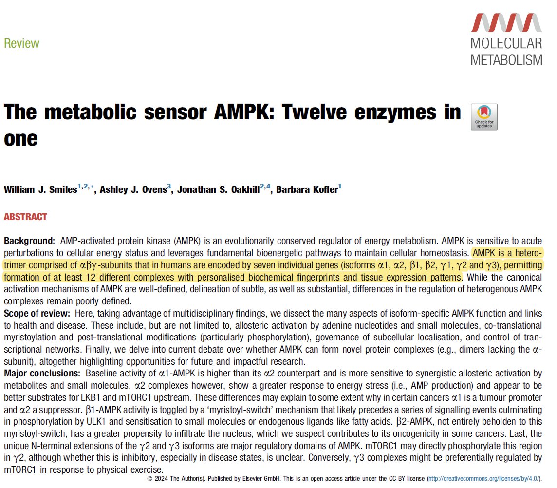 Satchin Panda (@satchinpanda) on Twitter photo AMP kinase enzyme integrates energy sensing with cellular functions in diverse cell types and in cancer. It is also a target of interventions for healthy longevity. This review in <a href="/MolMetab/">Molecular Metabolism</a> describes how combination of different subunits can give rise to 12 different types of AMP kinase enzyme integrates energy sensing with cellular functions in diverse cell types and in cancer. It is also a target of interventions for healthy longevity. This review in <a href="/MolMetab/">Molecular Metabolism</a> describes how combination of different subunits can give rise to 12 different types of