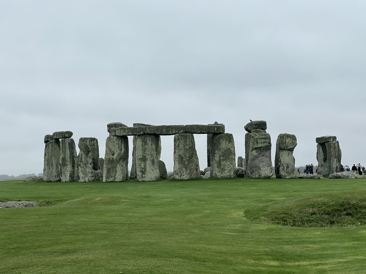 Lori Wike tweet media