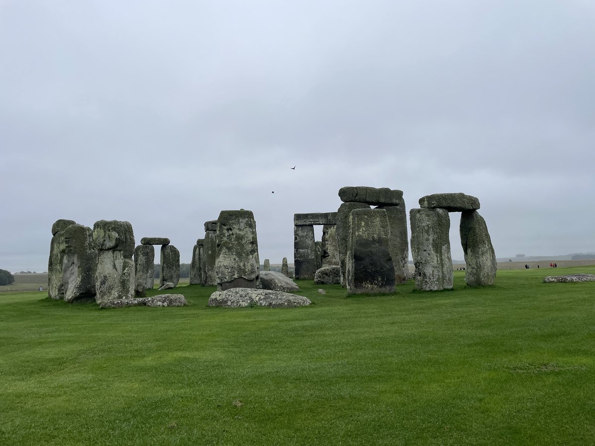 Lori Wike tweet media