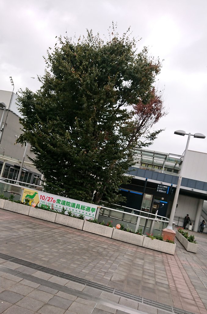 megla_sh61's tweet image. 久々の黒崎
路上のとき以来かな…
今日も『幸』でした！！
#黒崎SEC
#SOSlive
@WORLDLAUGH_fuk 
@JeGlanz 
@s_g_r_12