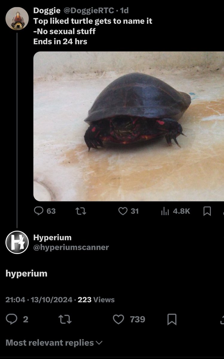 hyperiumscanner's tweet image. WAIT WHO TF BOTTED ME COMMENT LMFAO I SWEAR IT WASNT ME HAHAHA