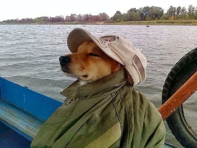 ︎ ︎ ︎ ︎ ︎ ︎ ︎ ︎ ︎ ︎ ︎ ︎ ︎ ︎ ︎ ︎ ︎ ︎ ︎ ︎ ︎ ︎ ︎ ︎ ︎ ︎ ︎ ︎ ︎ ︎ ︎ ︎ ︎ ︎ ︎ ︎ ︎