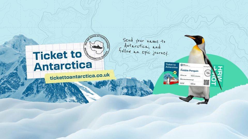 Knightwood Primary tweet media