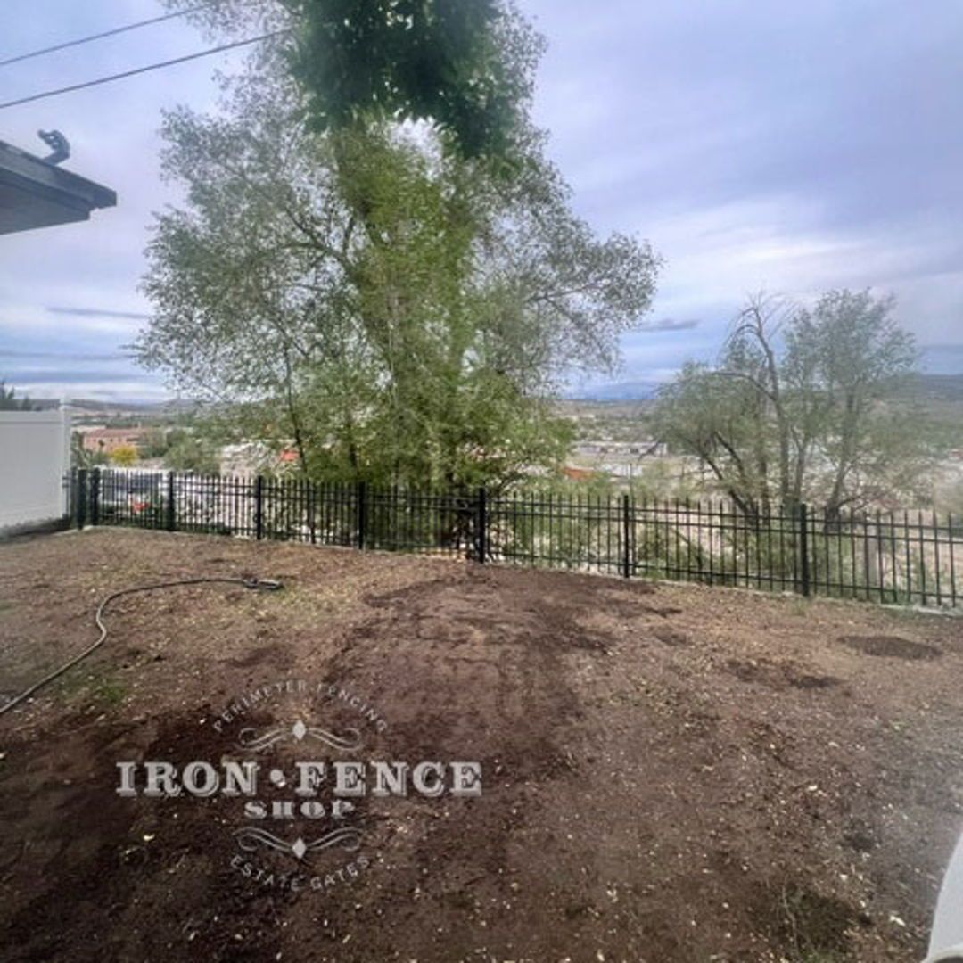 IronFenceShop's tweet photo. We love to help you create a beautiful backyard for your friends and family to enjoy, while also feeling safe and secure! 

#IronFenceShop #ironfence #ironfencing #backyard #curbappeal #safeandsecure https://t.co/dtzQuDbYh8