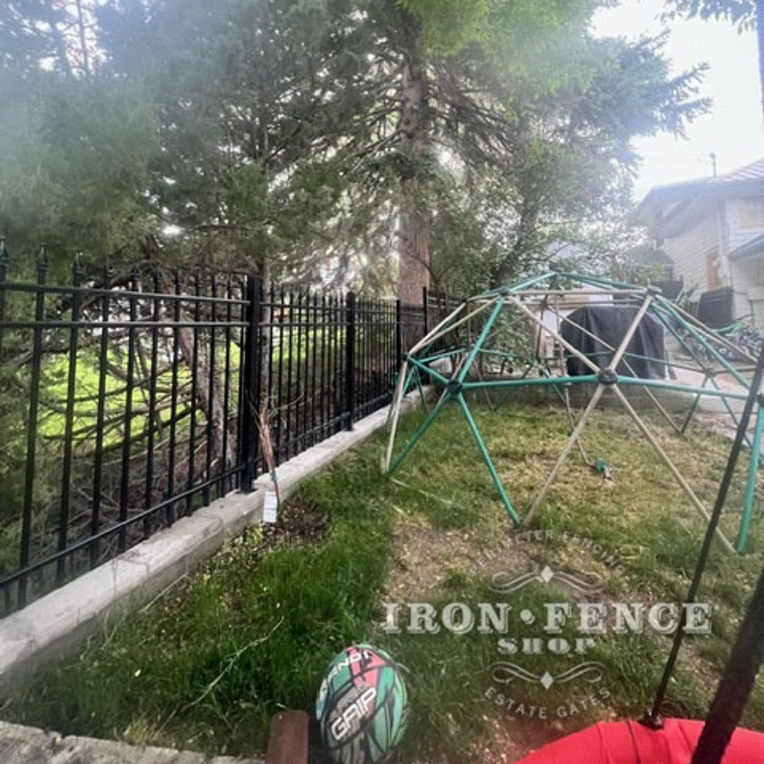 IronFenceShop's tweet photo. We love to help you create a beautiful backyard for your friends and family to enjoy, while also feeling safe and secure! 

#IronFenceShop #ironfence #ironfencing #backyard #curbappeal #safeandsecure https://t.co/dtzQuDbYh8