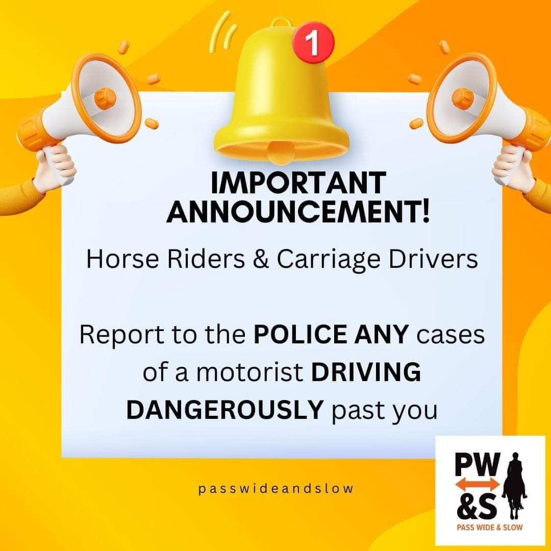 Friendly reminder❗️

#equestrians #horses #police #cameras #safety