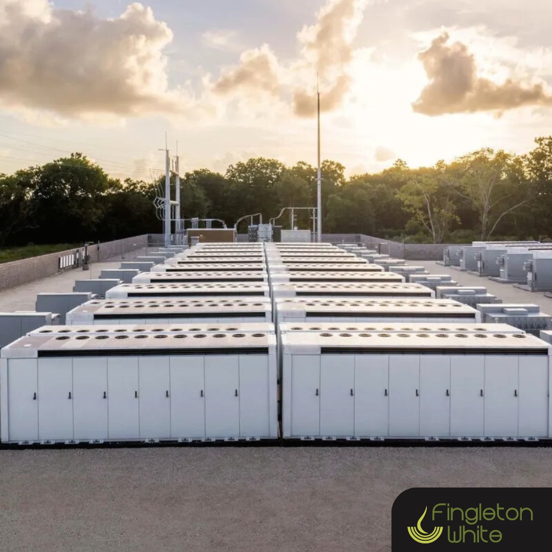 Fingleton White tweet media