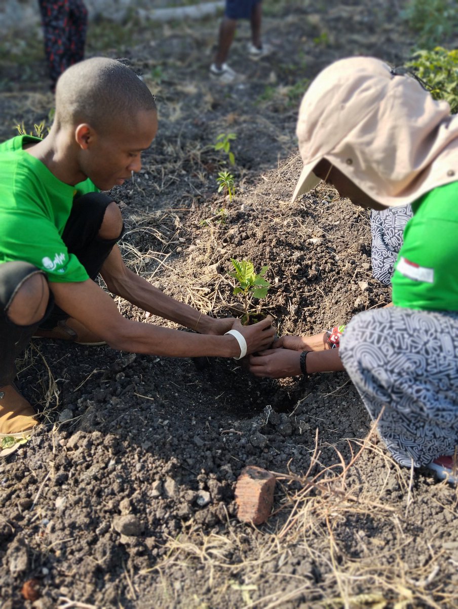 Afrikala tweet media