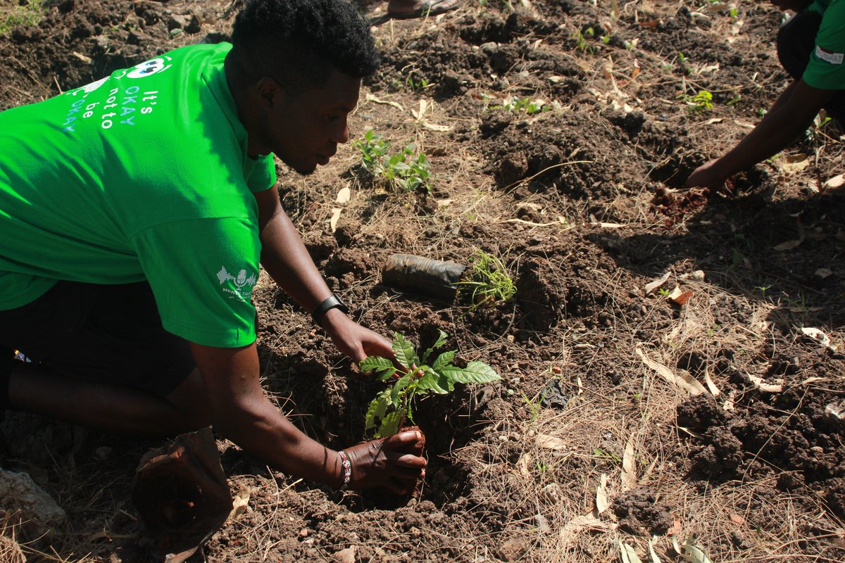 Afrikala tweet media