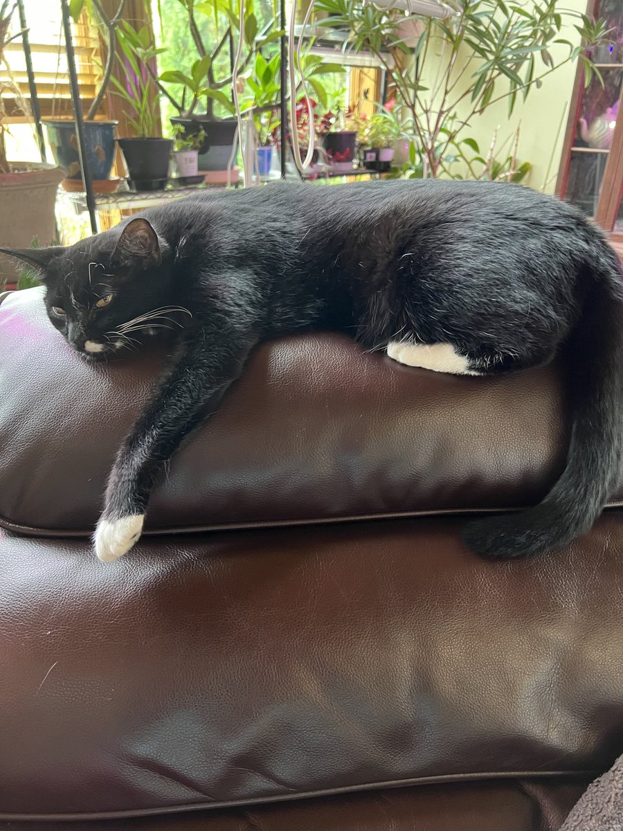 Finally finished chapter 22. I would love to get back to writing daily even for a few minutes each day. Hoping I can after I finishing with the outside of my house and yard. It goes on and on