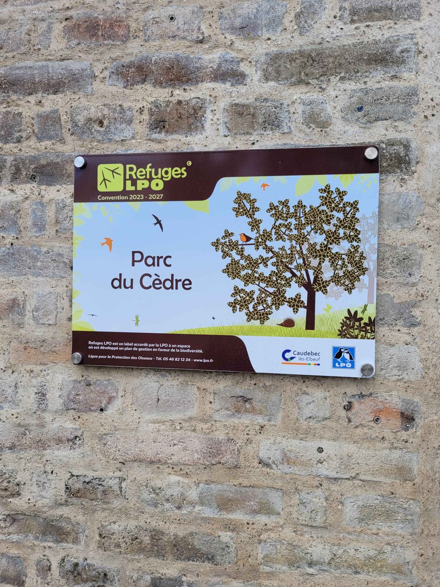 Pour Caudebec tweet media