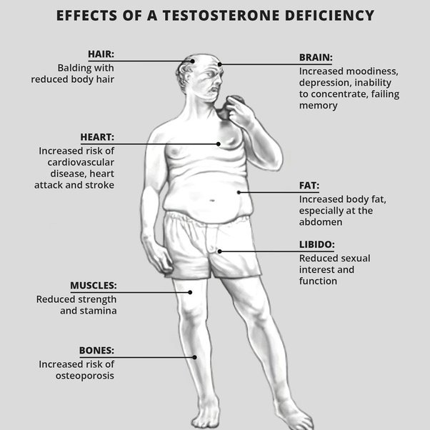 Men's testosterone levels are in crisis.

The average male has a testosterone level of less than 500.

That's why, I wrote a step-by-step guide to help you increase your testosterone levels naturally.

Like + Comment "GUIDE" and I'll DM it to you.

(Must Be Following Me)