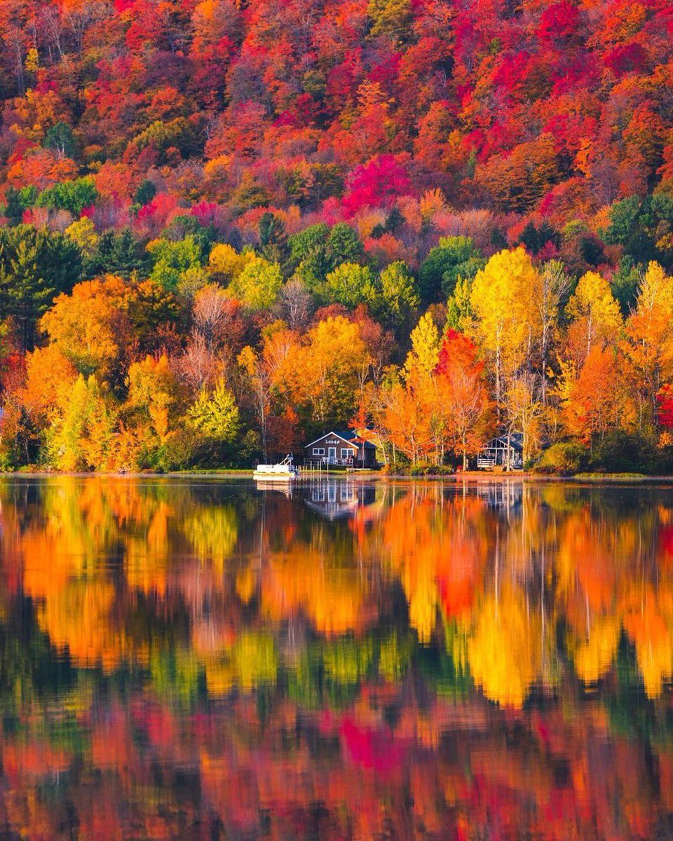 Eye Candy…💛💚🧡
Reflection on Autumn colors.