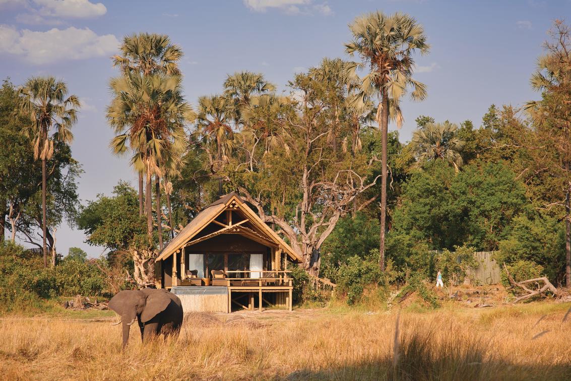 AfricanPathfind's tweet photo. FAN MAIL!  See our latest feedback and images from a multigenerational family who travelled with us for special milestone birthday!  https://t.co/IizjECJBGF
#africansafari #familytravel #multigenerationaltravel 🐘🌍 https://t.co/qQOzZ7wSwE