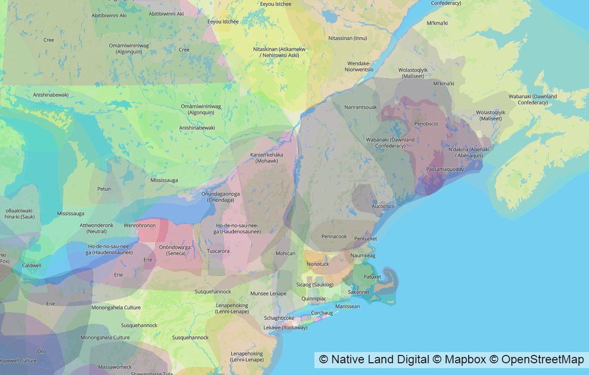 We encourage you to use the Indigenous people’s land map at native-land.ca to locate the lands where you are located and learn more about your community. (Image source: screenshot from Native Land Digital, @nativelandnet)