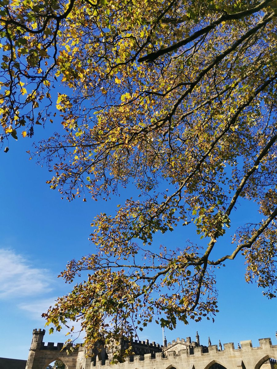 Sophia Stovall (@sophiastovall) on Twitter photo A beautiful day out & about <a href="/aucklandproject/">The Auckland Project</a> with fellow mothers for a beautiful autumnal walk & tour of the Deer Park. A beautiful day out & about <a href="/aucklandproject/">The Auckland Project</a> with fellow mothers for a beautiful autumnal walk & tour of the Deer Park.