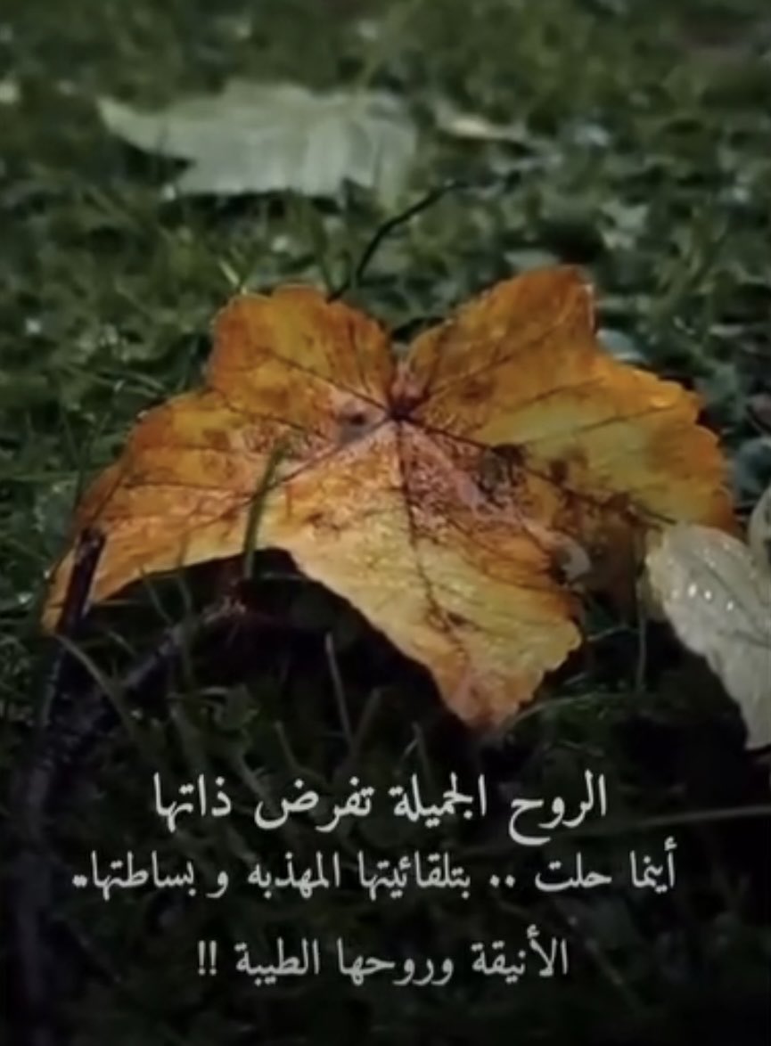 @Queen Larein💙🍒💙🤍 (@albaronh_12) on Twitter photo 